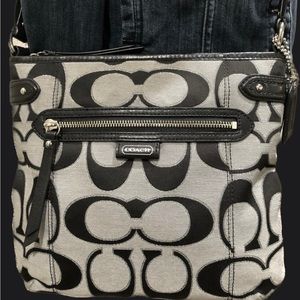 Coach F23913 Daisy Signature Metallic Crossbody